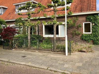 Foto Gravinnestraat 2.jpeg